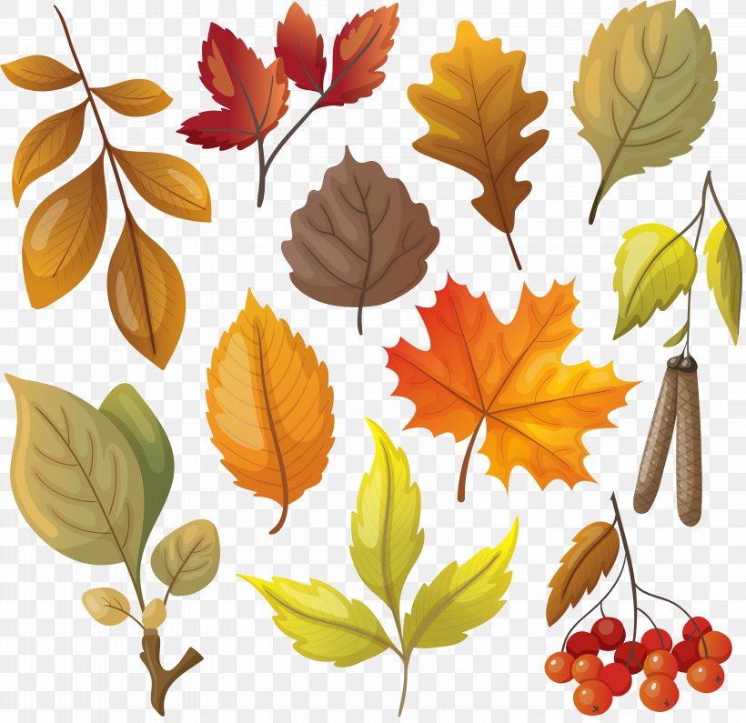 Autumn Leaf Color Autumn Leaf Color Yellow, PNG, 6289x6101px, Leaf, Art, Autumn, Autumn Leaf Color, Branch Download Free