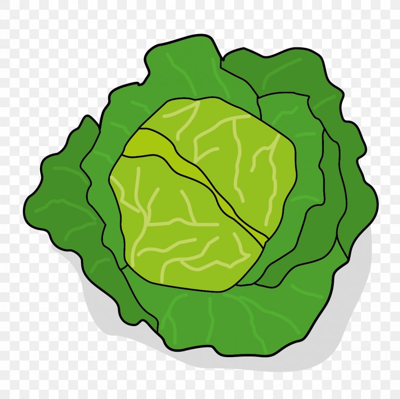 Leaf Vegetable Chou Cabbage, PNG, 1181x1181px, Leaf Vegetable, Cabbage, Canning, Chou, Choux Pastry Download Free