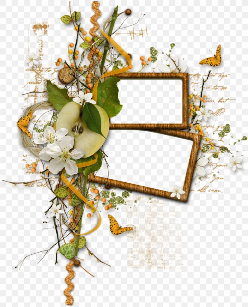 Picture Frames Film Frame Photography, PNG, 888x1100px, Picture Frames, Art, Aspect Ratio, Branch, Computer Cluster Download Free