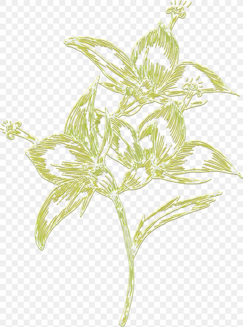 Plant Stem Leaf Flower Herb Branching, PNG, 1342x1810px, Plant Stem, Branch, Branching, Flower, Grass Download Free