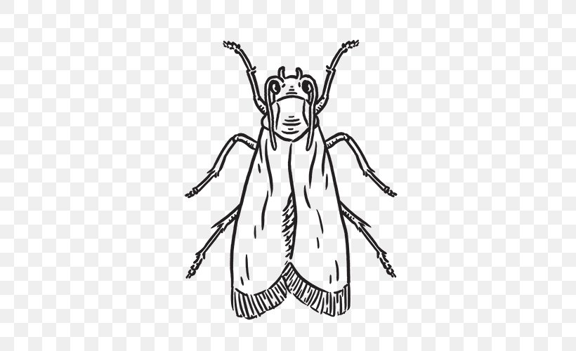 Clip Art Insect Line Art Cartoon Sketch, PNG, 500x500px, Insect, Animal, Animal Figure, Arthropod, Artwork Download Free