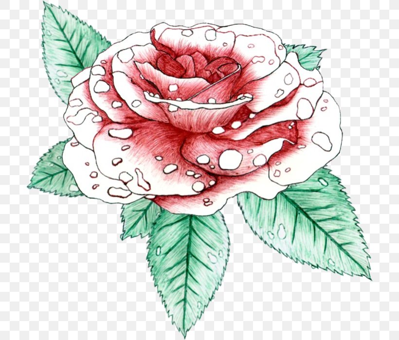 Floral Design Cabbage Rose Garden Roses Cut Flowers, PNG, 712x699px, Floral Design, Art, Artwork, Cabbage Rose, Cut Flowers Download Free