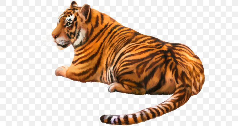 Lion Cat Bengal Tiger White Tiger Siberian Tiger, PNG, 600x436px, Lion, Animal Figure, Bengal Tiger, Big Cats, Carnivoran Download Free