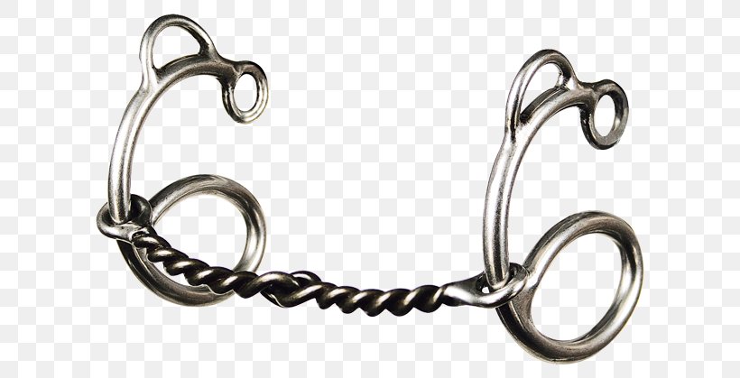 Silver Body Jewellery, PNG, 628x419px, Silver, Body Jewellery, Body Jewelry, Horse Tack, Jewellery Download Free
