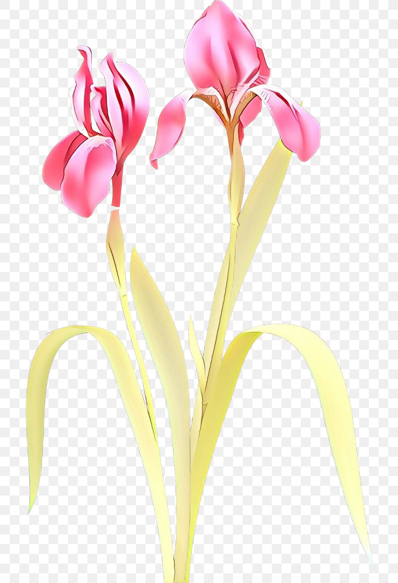 Artificial Flower, PNG, 727x1200px, Flower, Anthurium, Artificial Flower, Cut Flowers, Iris Download Free