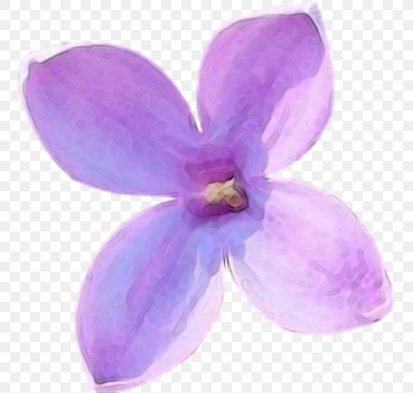 Download Lilac Clip Art, PNG, 752x781px, Lilac, Flower, Flowering Plant, Lavender, Moth Orchid Download Free