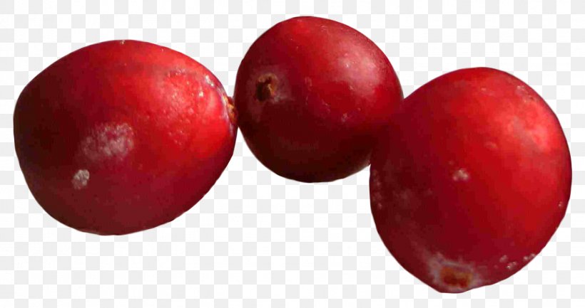 Cranberry Frutti Di Bosco, PNG, 1431x756px, Cranberry, Apple, Berry, Blueberry, Camu Camu Download Free