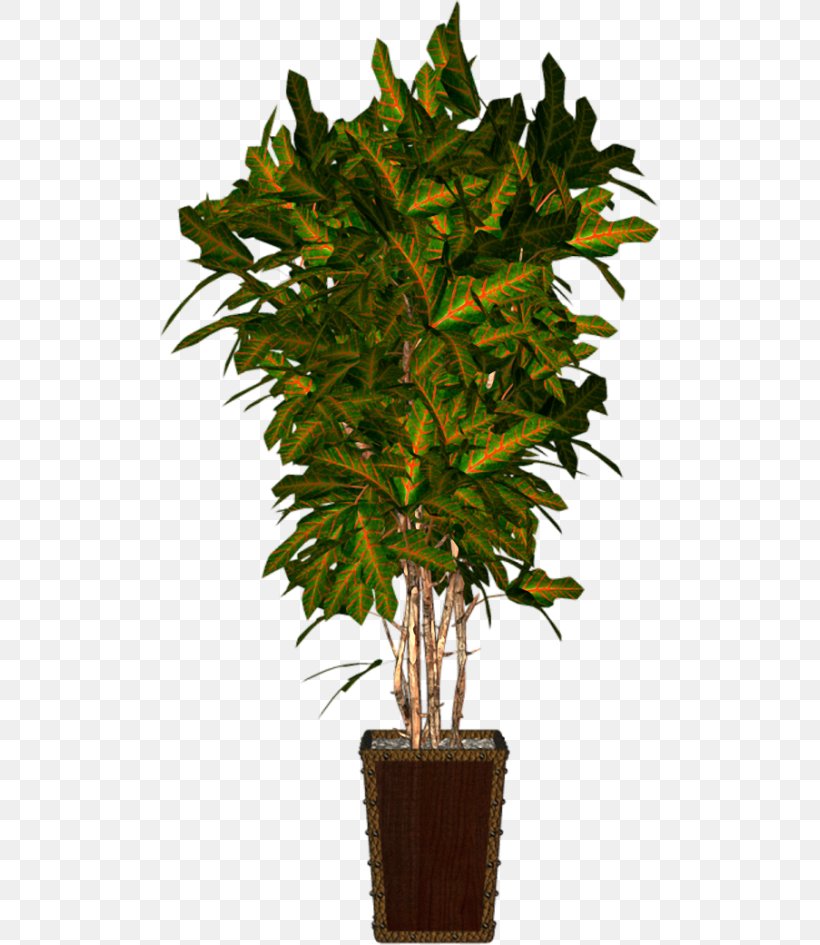 Flowerpot Plant Clip Art, PNG, 500x945px, Flowerpot, Arecaceae, Branch, Dwarf Umbrella Tree, Evergreen Download Free