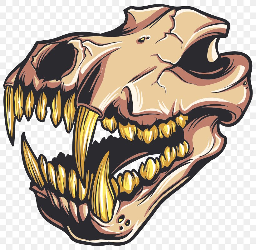 Skull Velociraptor, PNG, 800x800px, Skull, Art, Bone, Carnivoran, Claw Download Free