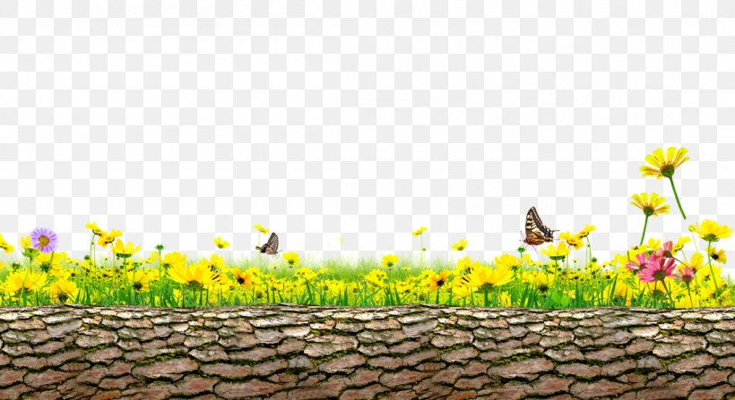 Trunks Daisy Background Material, PNG, 1100x600px, Trunk, Bark, Chrysanthemum, Flora, Floral Design Download Free