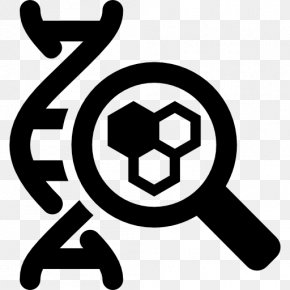 DNA Genetics Nucleic Acid Double Helix Genome PNG