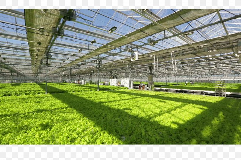 Greenhouse Daylighting Building Roof Industry, PNG, 1400x933px, Greenhouse, Bed, Building, Camera, Com Download Free