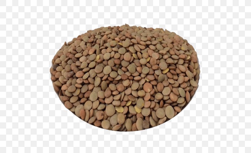 Nut Lentil Seed Commodity, PNG, 500x500px, Nut, Bean, Commodity, Ingredient, Lentil Download Free
