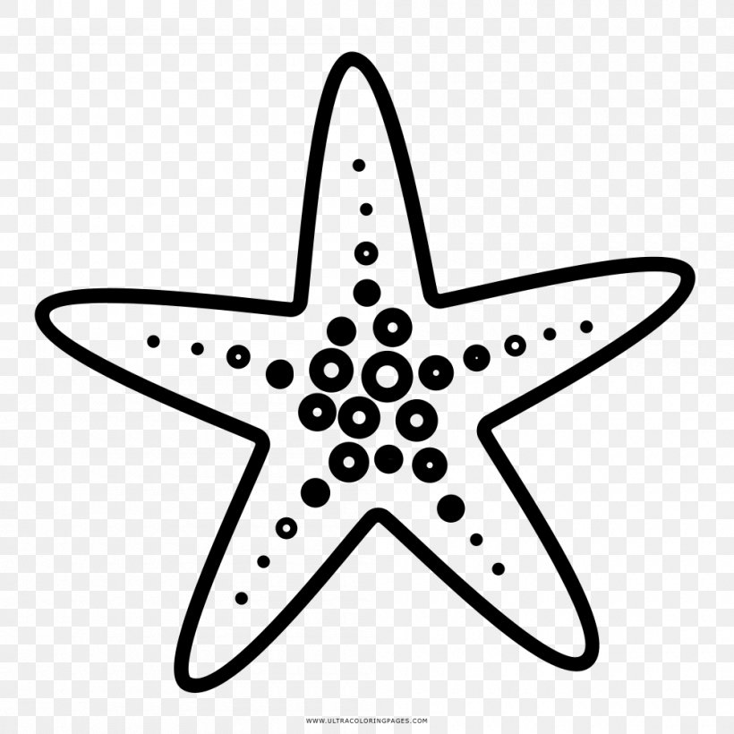 Starfish Drawing Coloring Book Doodle, PNG, 1000x1000px, Starfish, Animal, Black And White, Coloring Book, Doodle Download Free