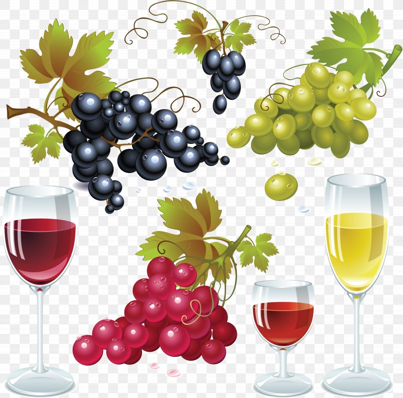 Common Grape Vine Wine Grape Seed Oil Clip Art, PNG, 7010x6926px, Common Grape Vine, Diet Food, Drink, Drinkware, Food Download Free