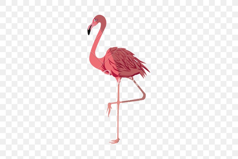 Flamingo Royalty-free Photography, PNG, 550x550px, Flamingo, Beak, Bird, Flamingos, Photography Download Free