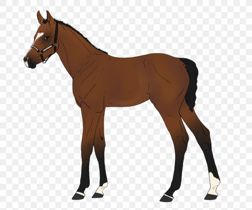 Horse Equestrian Bridle Saddle, PNG, 977x818px, Horse, Animal Figure, Bit, Bridle, Colt Download Free