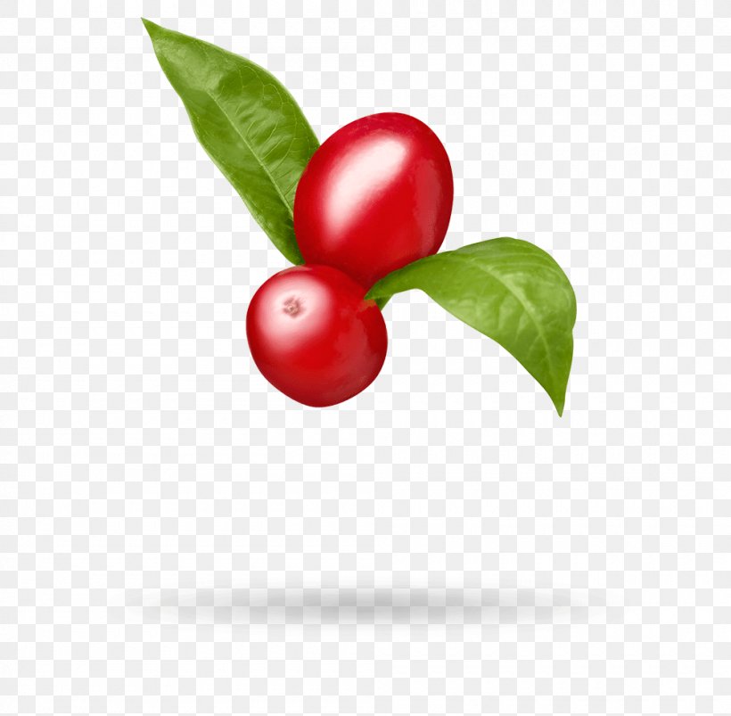 Barbados Cherry Lingonberry Goji Cranberry Matrimony Vine, PNG, 1000x980px, Barbados Cherry, Acerola, Acerola Family, Antioxidant, Aquifoliaceae Download Free