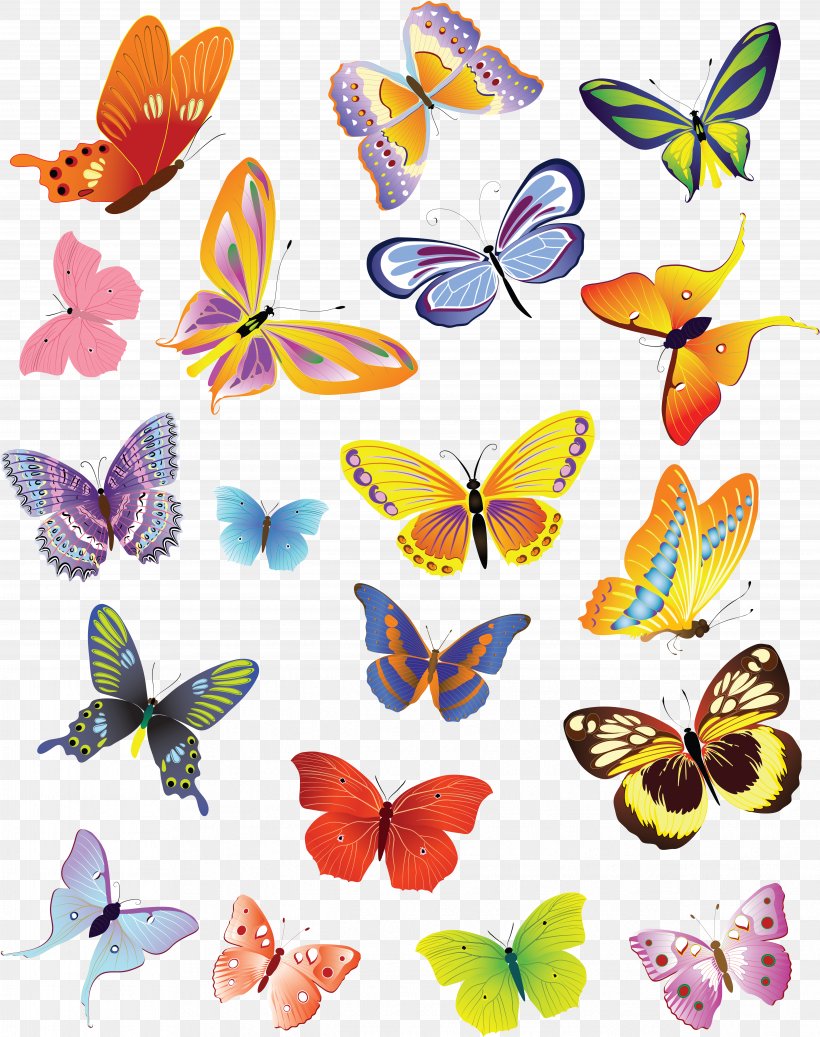 Butterfly Drawing Clip Art, PNG, 4974x6295px, Butterfly, Artwork, Brush Footed Butterfly, Drawing, Graphic Arts Download Free