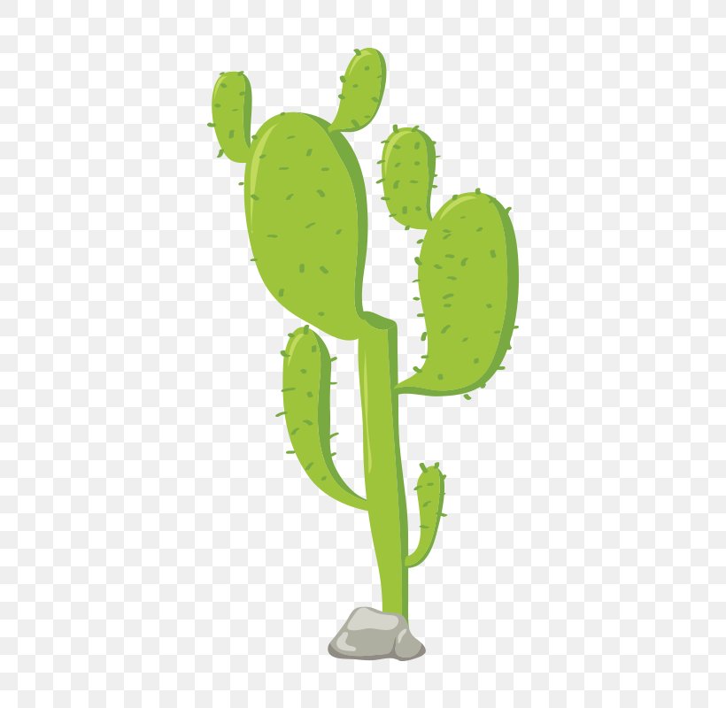 Cactaceae Euclidean Vector, PNG, 800x800px, Cactaceae, Cactus, Color, Drawing, Flower Download Free