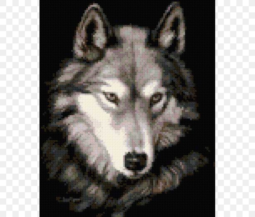 Gray Wolf Animation She Wolf, PNG, 800x700px, Gray Wolf, Alaskan Malamute, Animation, Black Wolf, Blanket Download Free