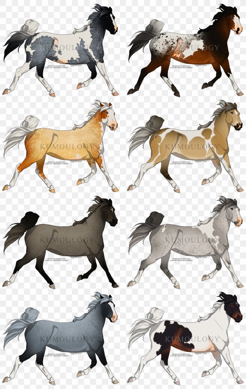 Mustang Stallion Pack Animal Freikörperkultur Wildlife, PNG, 1500x2368px, Mustang, Fauna, Horse, Horse Like Mammal, Livestock Download Free