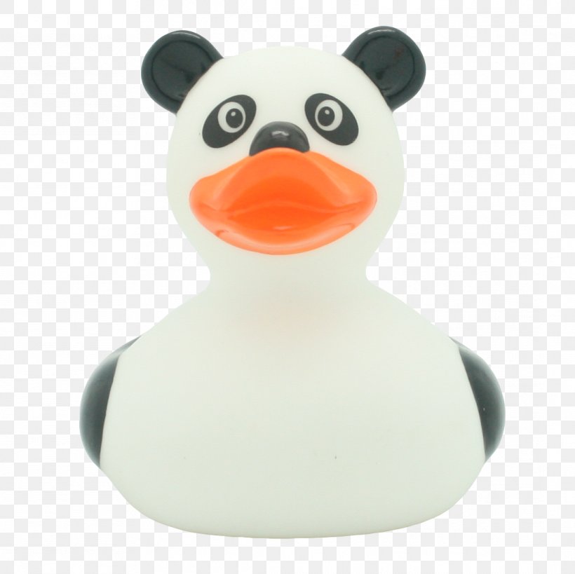 Rubber Duck Amazonetta Gum Toy, PNG, 1089x1088px, Duck, Amazonetta, Beak, Bird, Catalog Download Free