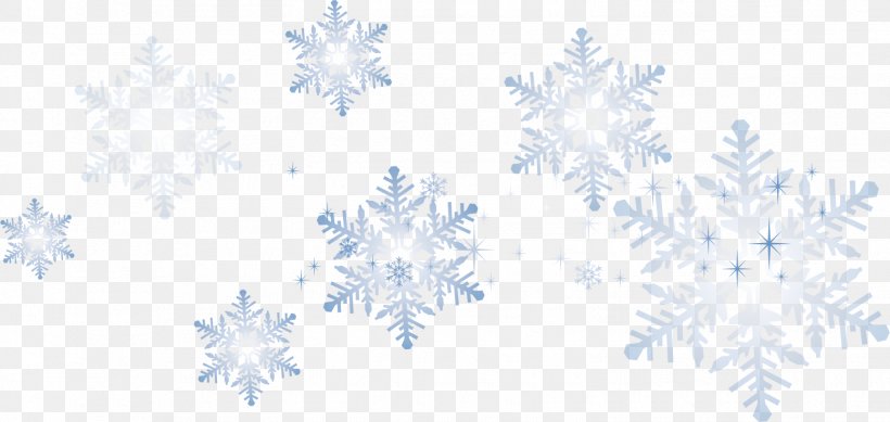 Snowflake Pattern, PNG, 1554x738px, Snowflake, Blue, Point, Symmetry, White Download Free