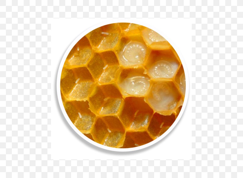Western Honey Bee Queen Bee Food Royal Jelly, PNG, 600x600px, Bee, Cell, Egg, Food, Health Download Free