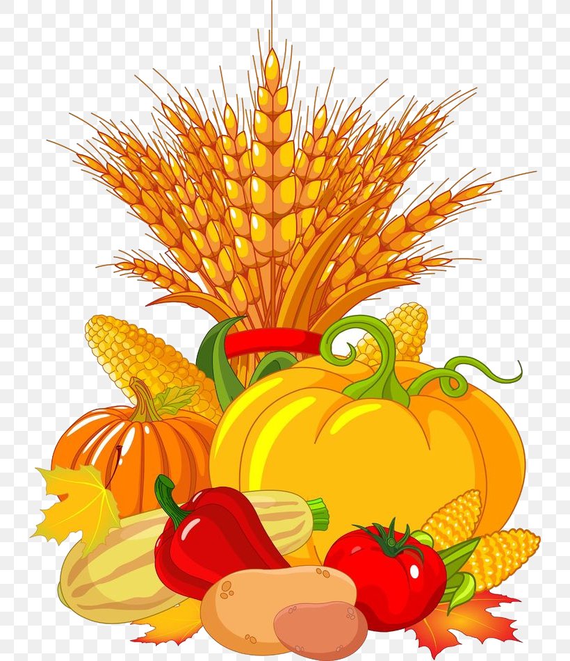 Autumn Plant, PNG, 736x951px, Harvest Festival, Accessory Fruit, Ananas, Autumn, Festival Download Free