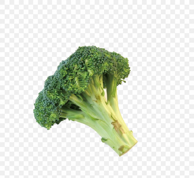 Broccolini Romanesco Broccoli Cauliflower, PNG, 1131x1037px, Broccoli, Brassica Oleracea, Broccoflower, Broccoli Sprouts, Food Download Free