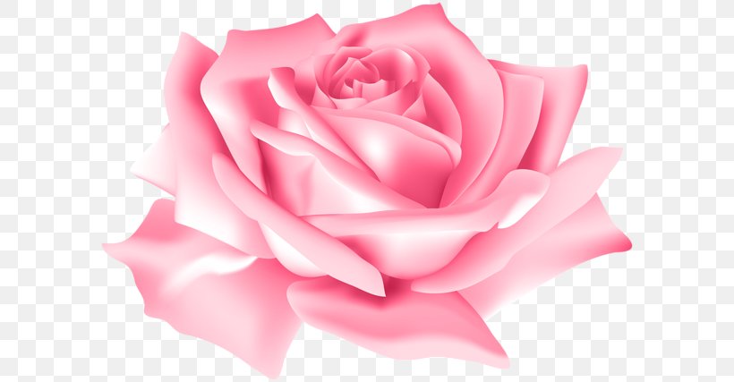 Clip Art Rose Flower Image, PNG, 600x427px, Rose, Blue Rose, China Rose, Close Up, Cut Flowers Download Free