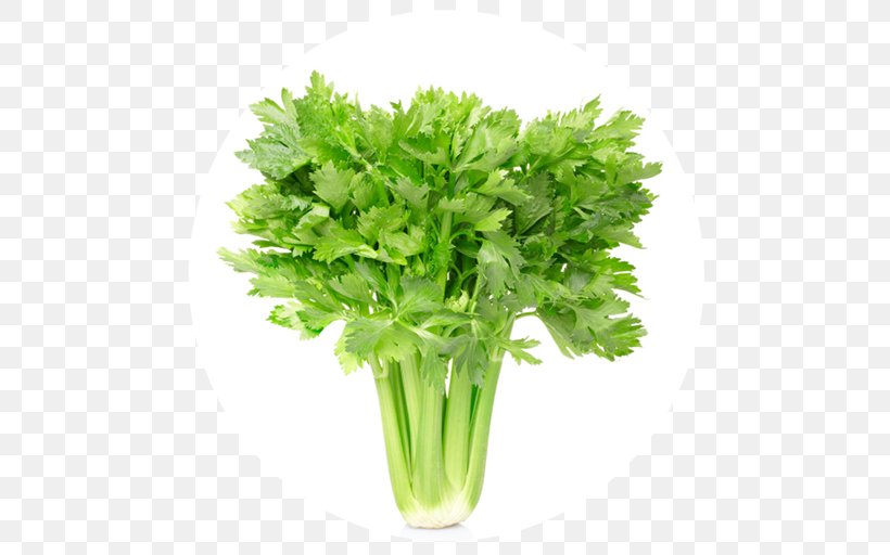 Juice Celery Eating Nutrition Vegetable, PNG, 512x512px, Juice, Calorie, Celery, Coriander, Cuisine Download Free
