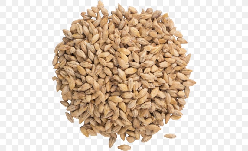 Oat German Pils Weyermann Malting Company Cereal, PNG, 500x500px, Oat, Avena, Beer Brewing Grains Malts, Cereal, Cereal Germ Download Free