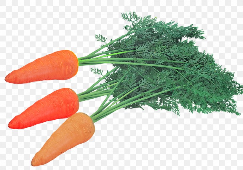 Baby Carrot Chinese New Year, PNG, 1000x700px, Carrot, Baby Carrot, Chinese New Year, Cooking, Daucus Download Free