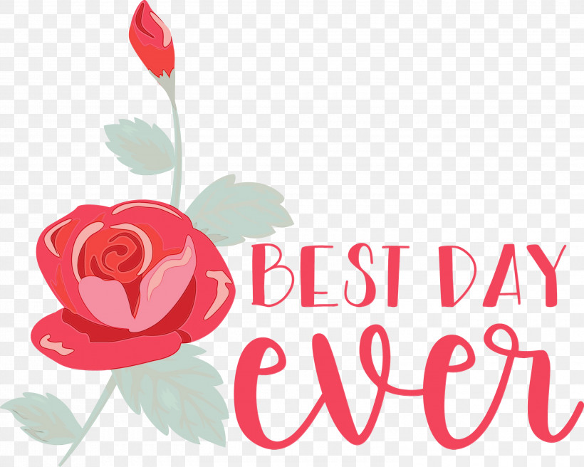 Garden Roses, PNG, 3000x2403px, Best Day Ever, Cut Flowers, Floral Design, Flower, Garden Download Free
