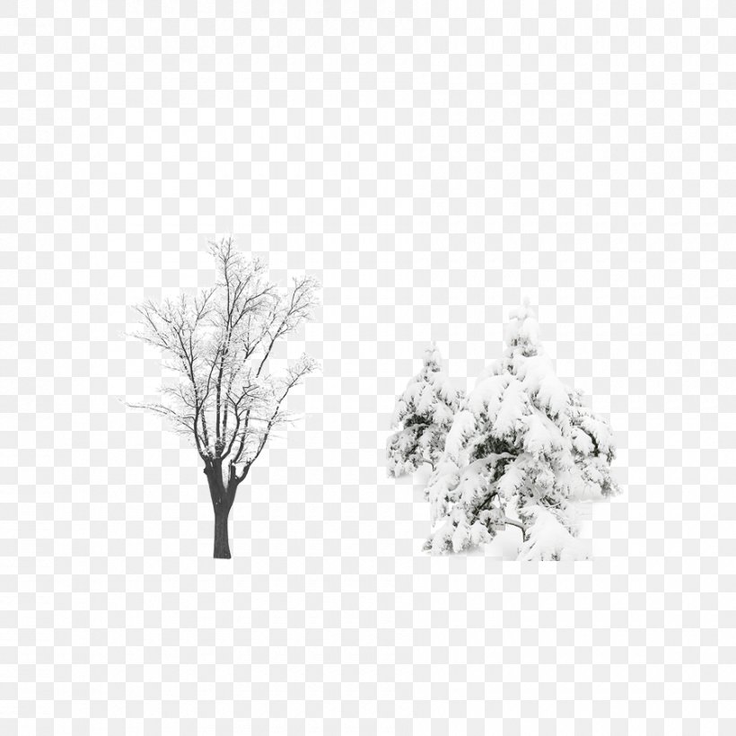 Snow Tree Computer File, PNG, 900x900px, Snow, Black, Black And White, Branch, Monochrome Download Free