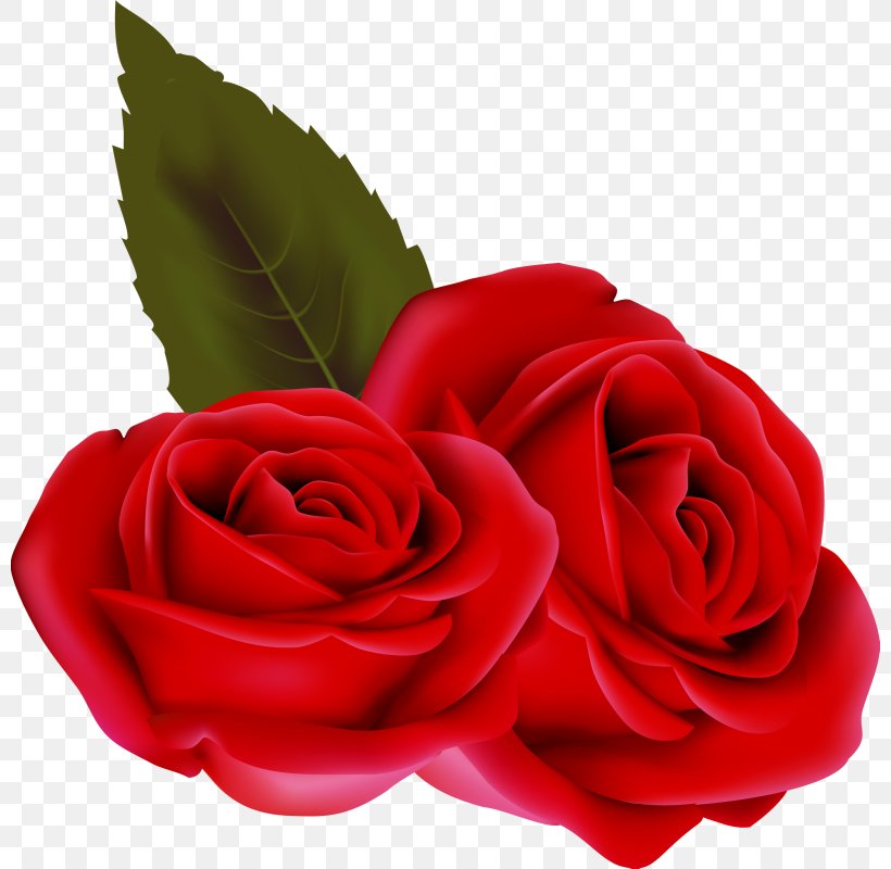 Valentine's Day Flower Clip Art, PNG, 800x800px, Valentine S Day, Birthday, Cut Flowers, Drawing, Floribunda Download Free