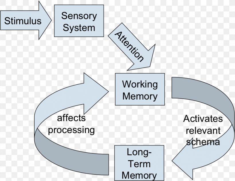 Working Memory Long-term Memory Short-term Memory Cognitive Load, PNG, 903x695px, Working Memory, Area, Brand, Cognition, Cognitive Load Download Free