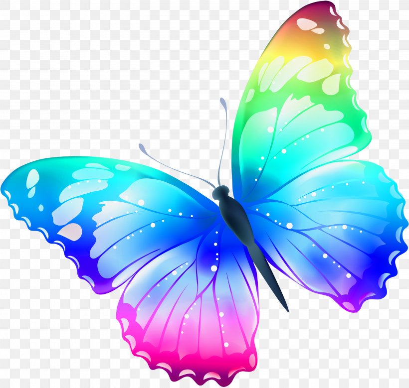 Butterfly Pink Cat Drawing Clip Art, PNG, 2900x2755px, Butterfly, Aqua, Blue, Brush Footed Butterfly, Butterflies And Moths Download Free