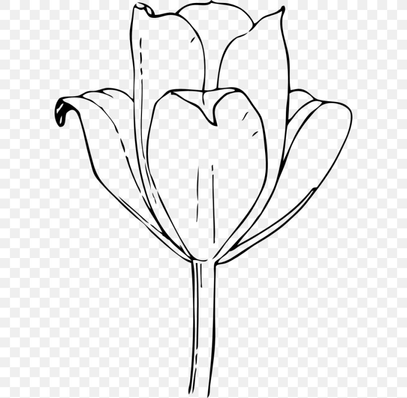 Coloring Book Drawing Line Art Floral Design Tulip, PNG, 600x802px, Watercolor, Cartoon, Flower, Frame, Heart Download Free
