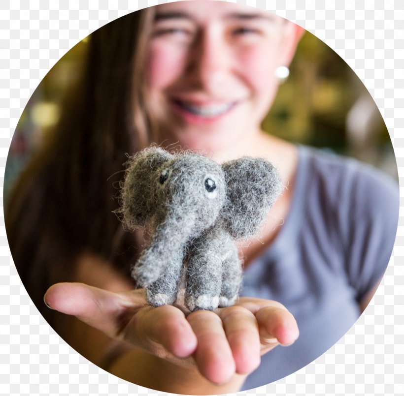 Koala 4-H Summer Camp Animal Child, PNG, 1221x1200px, Koala, Animal, Budget, Child, Com Download Free