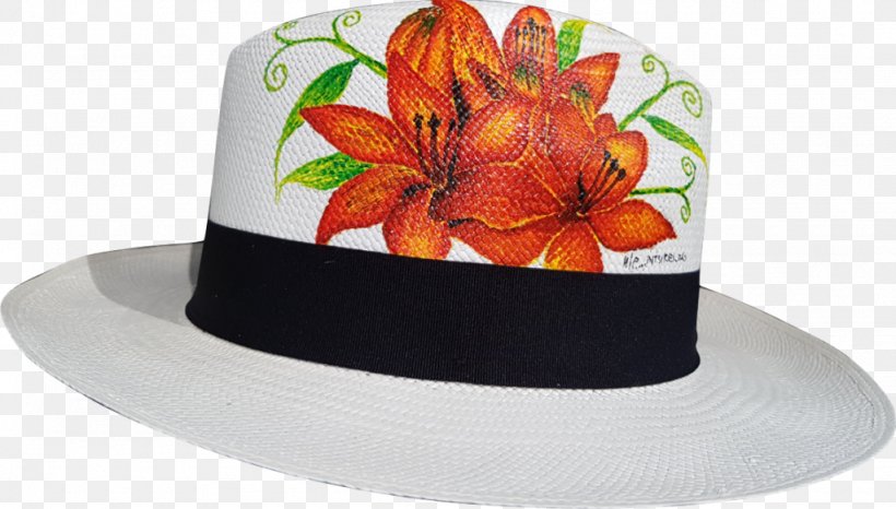 Panama Hat Cape Sugarbird, PNG, 1024x582px, Hat, African Hoopoe, Bird, Cap, Headgear Download Free