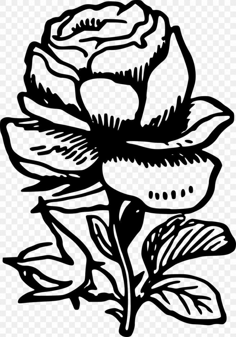 Floral Design Drawing Rose, PNG, 895x1280px, Floral Design, Artwork, Black And White, Drawing, Flora Download Free