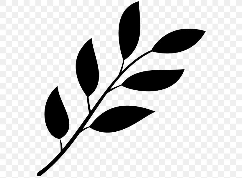 Leaf Clip Art, PNG, 700x603px, Leaf, Autocad Dxf, Autumn Leaf Color, Black, Black And White Download Free