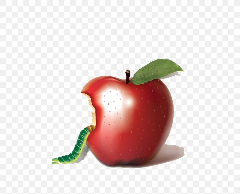 Apple Bobbing Biting Auglis, PNG, 522x664px, Apple, Accessory Fruit, Apple Bobbing, Auglis, Biting Download Free