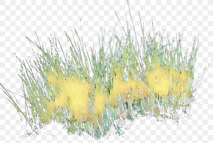 Family Tree Background, PNG, 1280x859px, Pop Art, Commodity, Flower, Grass, Grass Family Download Free