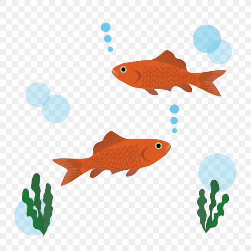 Goldfish Illustration Ecosystem Akwarium Kulowe, PNG, 1321x1321px, Goldfish, Akwarium Kulowe, Biology, Coral Reef, Coral Reef Fish Download Free