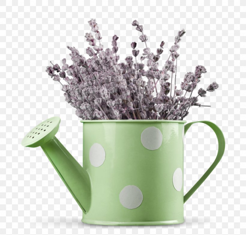 Lavender Watering Cans Herb Flowerpot Plant, PNG, 1024x977px, Lavender, Coffee Cup, Cup, Drawing, Drinkware Download Free