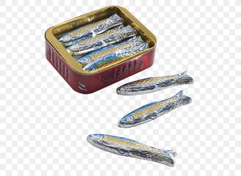 Sardine, PNG, 600x600px, Sardine, Fish, Forage Fish, Herring Download Free